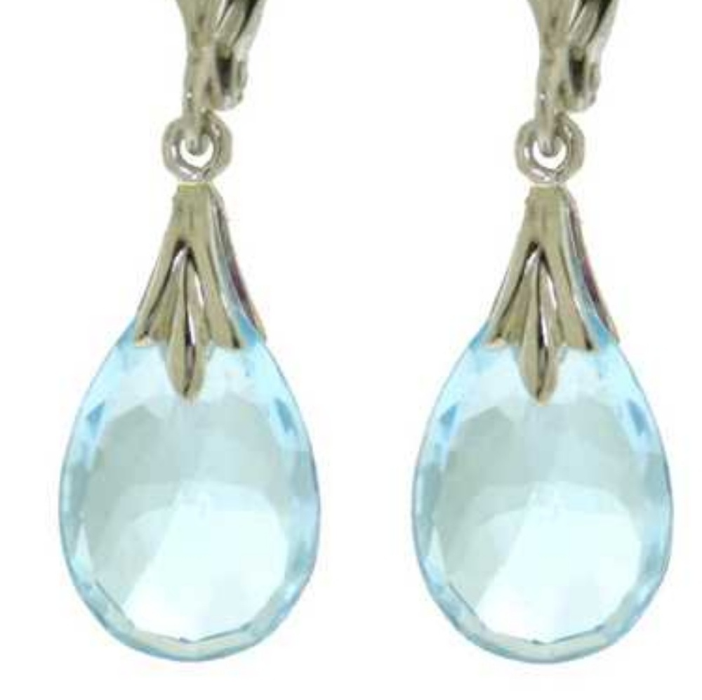 Genuine 14K White Gold 6 ctw Blue Topaz Earrings